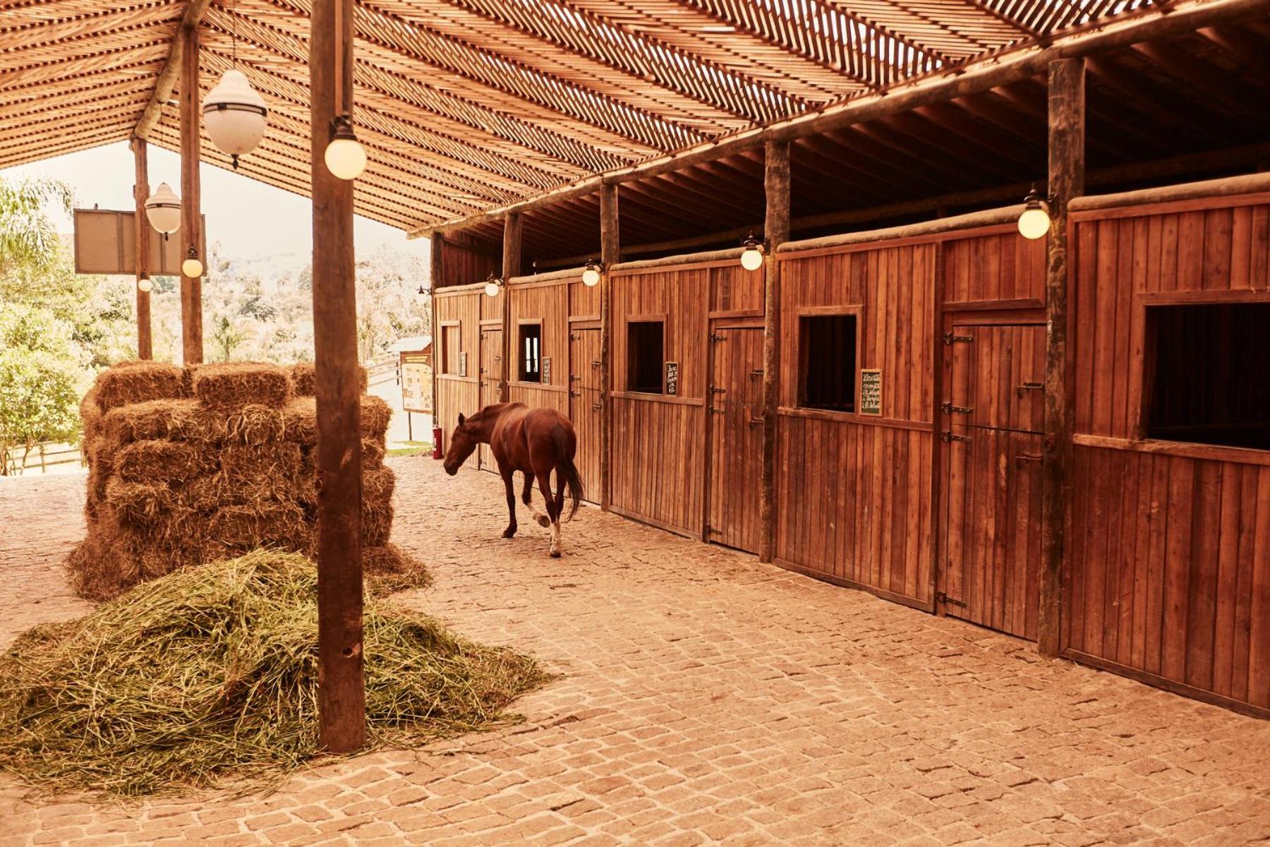 Hotel Fazenda Morros Verdes Ecolodge Ibiúna エクステリア 写真