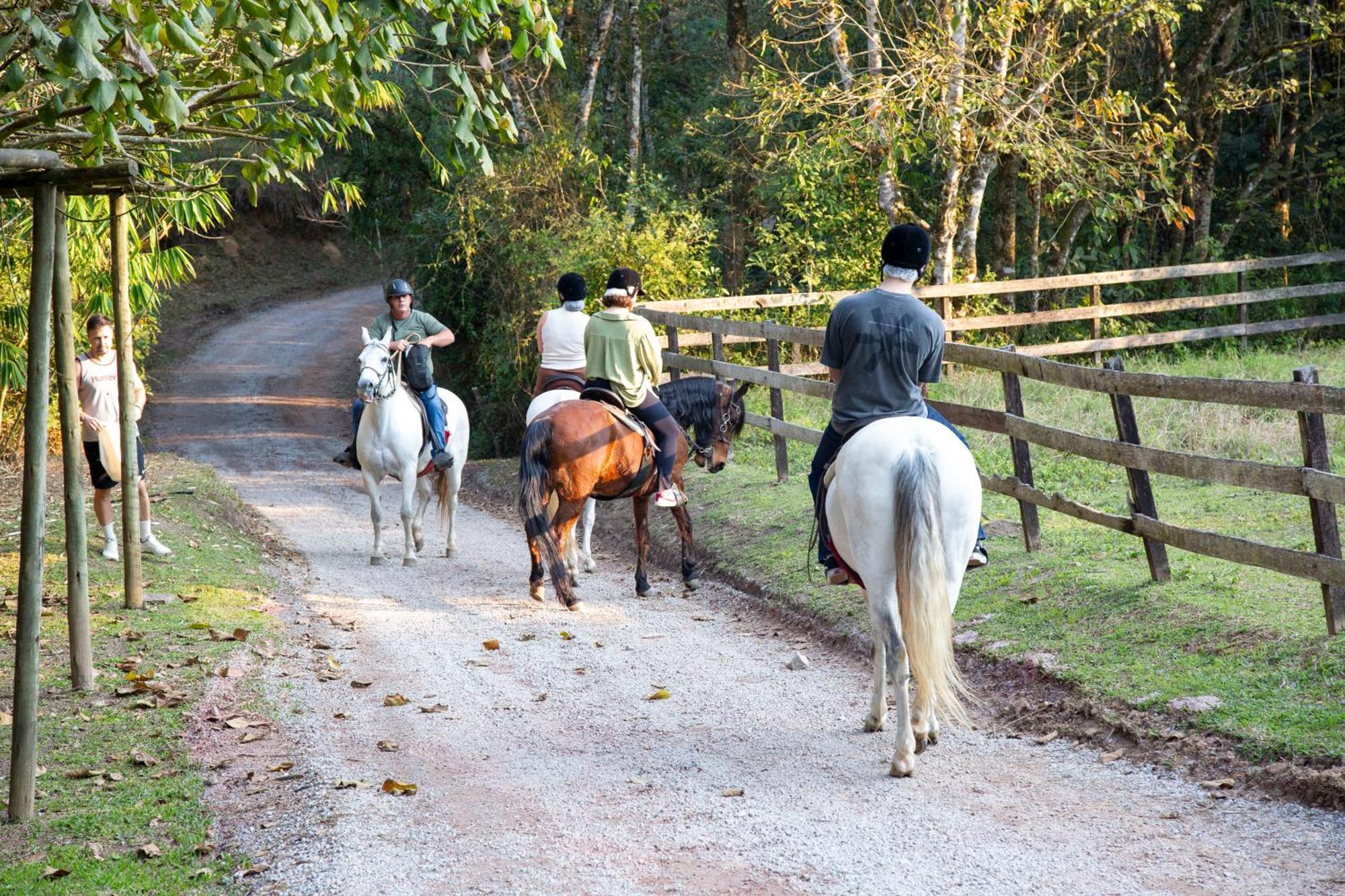 Hotel Fazenda Morros Verdes Ecolodge Ibiúna エクステリア 写真