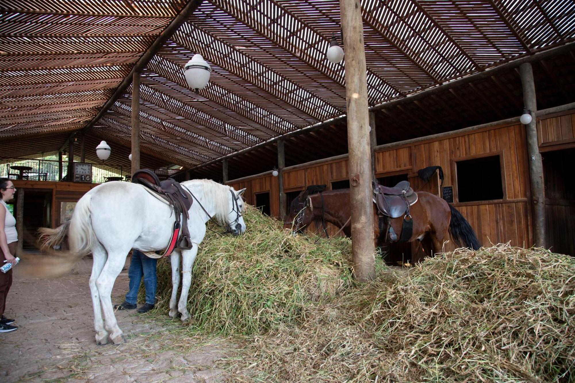 Hotel Fazenda Morros Verdes Ecolodge Ibiúna エクステリア 写真